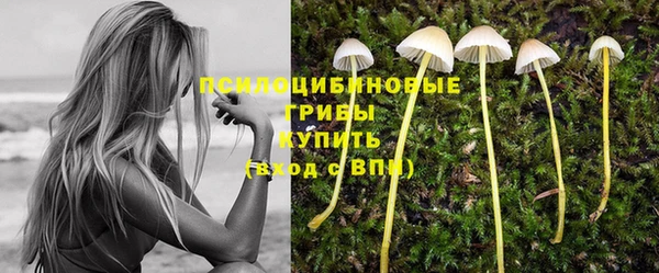 сатива Абдулино