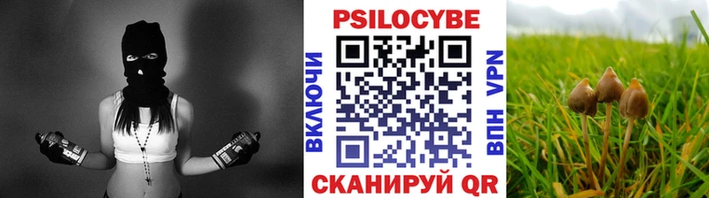 даркнет официальный сайт  mega ONION  Кочубеевское  продажа наркотиков  Галлюциногенные грибы Cubensis 